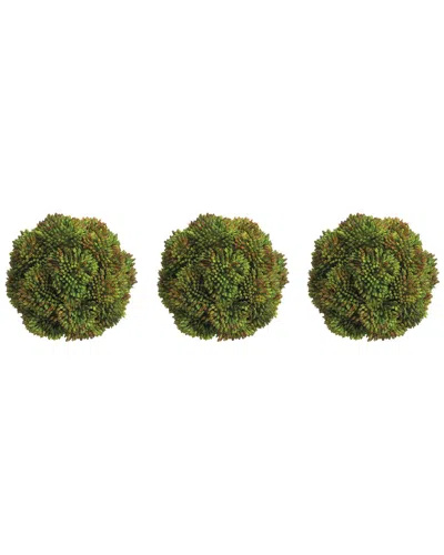 Creative Displays Set Of 3 Decorative Green Sedum Balls