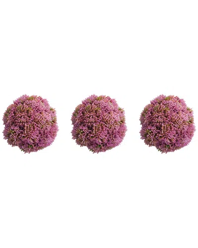 Creative Displays Set Of 3 Decorative Pink Sedum Balls