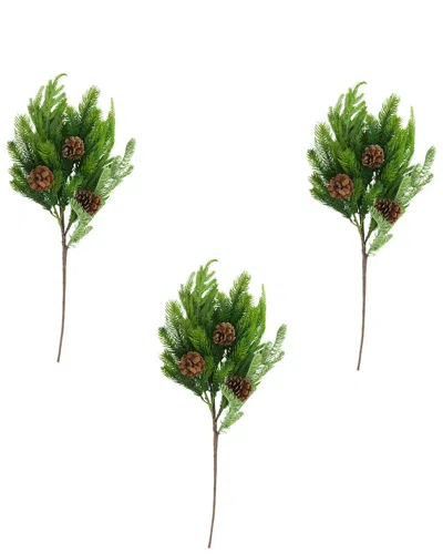 Creative Displays Set Of 3 Norfolk Spruce Juniper Spray In Green