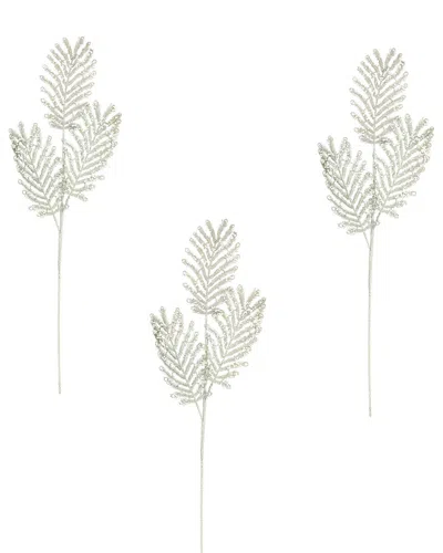 Creative Displays Set Of 3 Peacock Holiday Spruce In Silver
