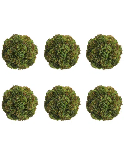 Creative Displays Set Of 6 Decorative Green Sedum Balls