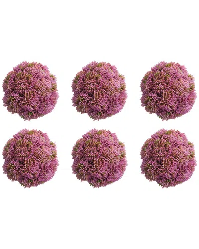 Creative Displays Set Of 6 Decorative Pink Sedum Balls