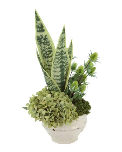 CREATIVE DISPLAYS CREATIVE DISPLAYS SNAKE PLANT IN CERAMIC POT WITH HYDRANGEA & THISTLE