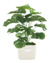 Creative Displays Split Leaf Philo Arrangement In A Ceramic Pot In White