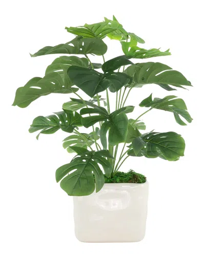Creative Displays Split Leaf Philo Arrangement In A Ceramic Pot In White