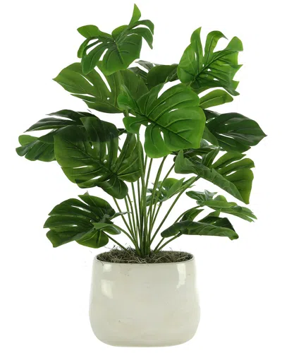 Creative Displays Split Leaf Philo Arrangement In A Ceramic Pot In Green