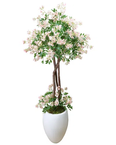 Creative Displays Stephanotis Tree In Fiberstone Pot In Pink