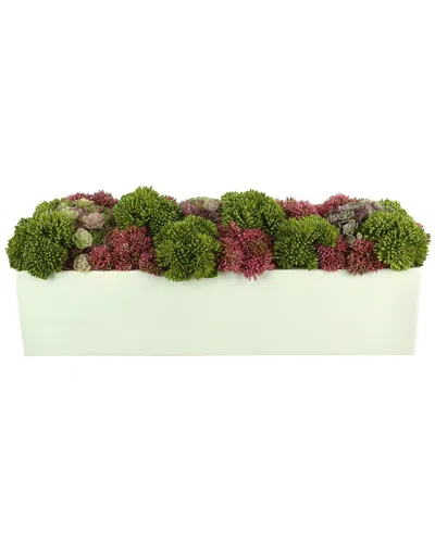 Creative Displays Succulents & Sedum Arrangement In Pink