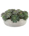 Creative Displays Succulents Arranged In A Ceramic Planter In Green