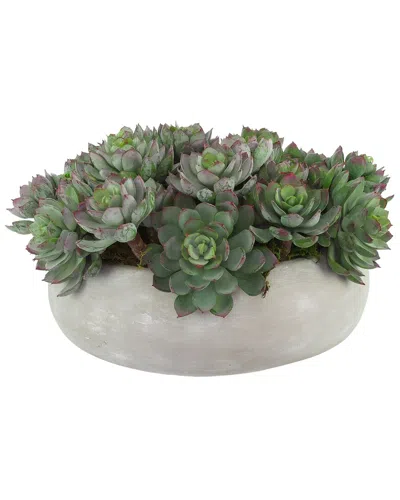 Creative Displays Succulents Arranged In A Ceramic Planter In Green