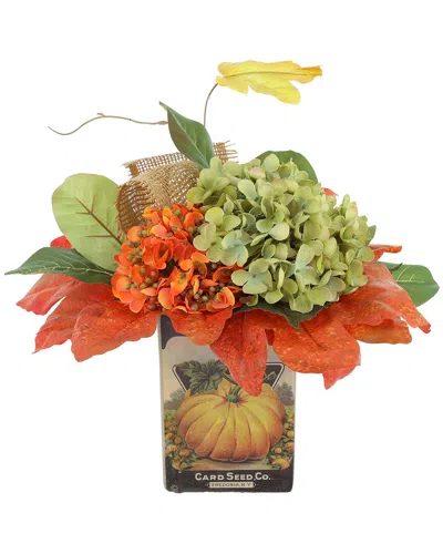Creative Displays Traditional Assorted Hydrangea Fall Floral With Or In Orange