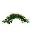 CREATIVE DISPLAYS CREATIVE DISPLAYS TRADITIONAL IVY ARRANGEMENT IN A RECTANGULAR PLANTER