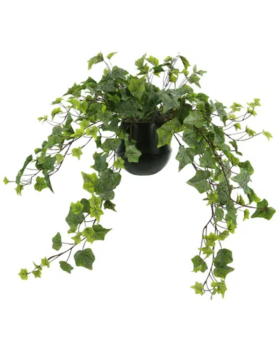 Creative Displays Trailing Ivy Greenery Arrangement