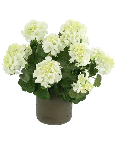 Creative Displays Uv Protected Outdoor White Geranium Arrangement In Multi