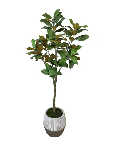 Creative Displays Uv-rated 5.5ft Magnolia Tree In Weather Resistant Pot In Green