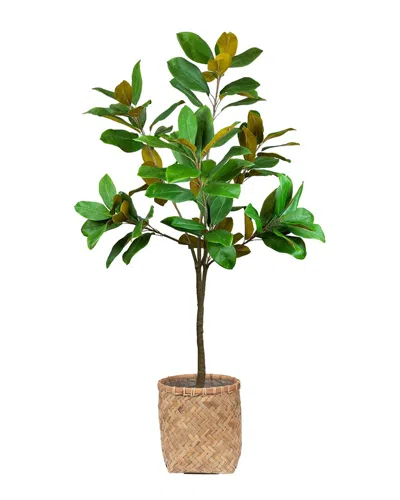 Creative Displays Uv-rated 5ft Magnolia Tree Drop-in With Bamboo Planter In Green