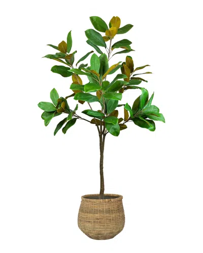 Creative Displays Uv-rated 5ft Magnolia Tree Drop-in With Bamboo Planter In Green