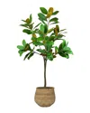 CREATIVE DISPLAYS CREATIVE DISPLAYS UV-RATED 5FT MAGNOLIA TREE DROP-IN WITH BAMBOO PLANTER