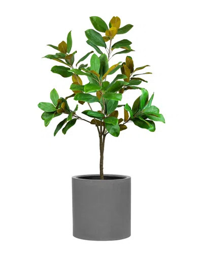 Creative Displays Uv-rated 5ft Magnolia Tree Drop-in With Fiberstone Planter In Green