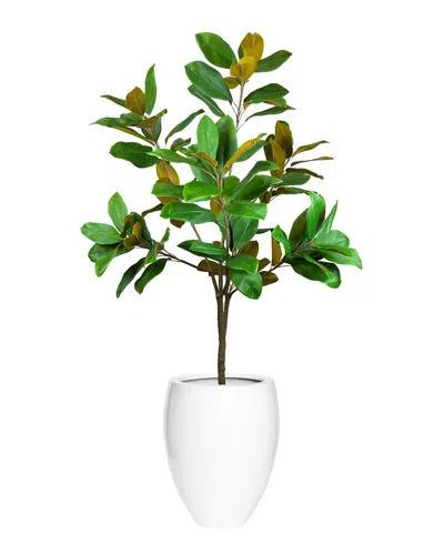 CREATIVE DISPLAYS CREATIVE DISPLAYS UV-RATED 5FT MAGNOLIA TREE DROP-IN WITH FIBERSTONE PLANTER