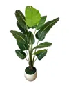 CREATIVE DISPLAYS CREATIVE DISPLAYS UV-RATED 6.5FT OUTDOOR TRAVELER PALM IN WEATHER-RESISTANT POT