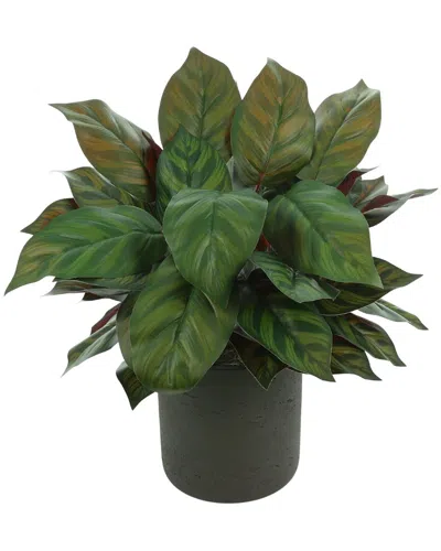 Creative Displays Uv Rated Artificial Green Plant In Multi