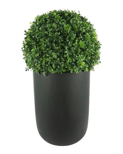 Creative Displays Uv-rated Boxwood Ball In Black Fiberstone Planter