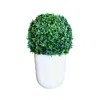 CREATIVE DISPLAYS UV-RATED BOXWOOD BALL IN CYLINDRICAL PLANTER