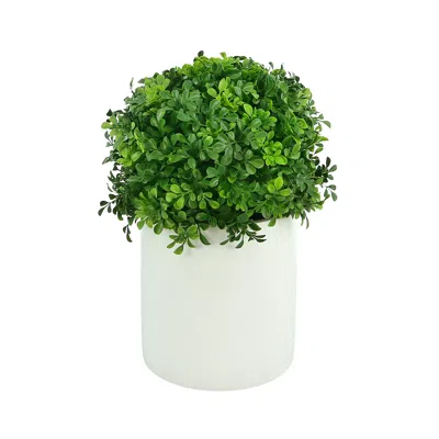 Creative Displays Uv-rated Boxwood Ball In Cylindrical Planter In White