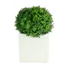 Creative Displays Uv-rated Boxwood Ball In Square Planter