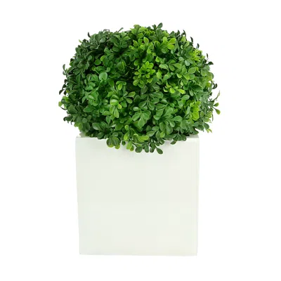 Creative Displays Uv-rated Boxwood Ball In Square Planter In Multi