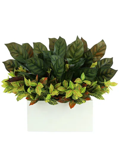 Creative Displays Uv-rated Outdoor Aglaonema And Croton Arranged In White  Fiberstone Planter In Green