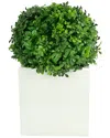 Creative Displays Uv-rated Outdoor Boxwood Ball In Square Planter In Green