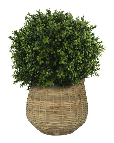 Creative Displays Uv-rated Outdoor Boxwood Topiary With Bamboo Planter In Green