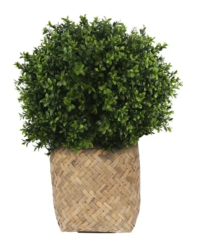 Creative Displays Uv-rated Outdoor Boxwood Topiary With Bamboo Planter In Green