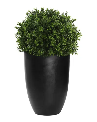 Creative Displays Uv-rated Outdoor Boxwood Topiary With Fiberstone Planter