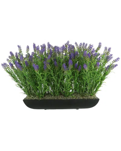 Creative Displays Uv-rated Outdoor Lavender Arrangement In A Rectangular  Planter In Purple