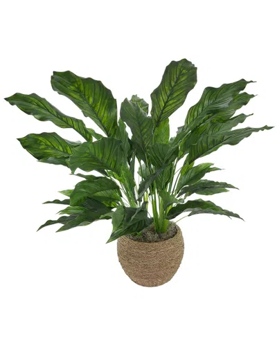 Creative Displays Uv-rated Spathiphyllum Plant In Seagrass-wrapped Pot In Green