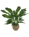 Creative Displays Uv-rated Spathiphyllum Plant In Seagrass-wrapped Pot In Green