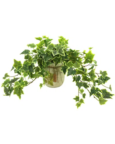 Creative Displays Variegated Ivy In Country Chic Ceramic Pot In Green