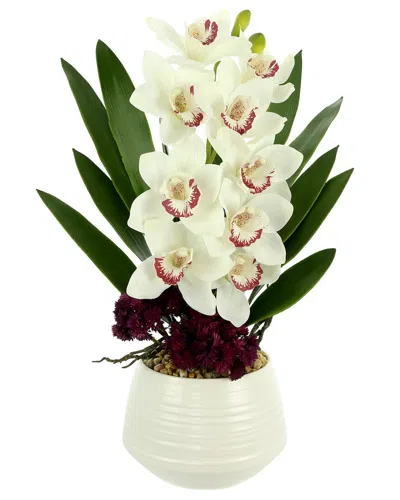 Creative Displays White & Burgundy Orchid & Sedum Arranged In A White Ceramic  Pot