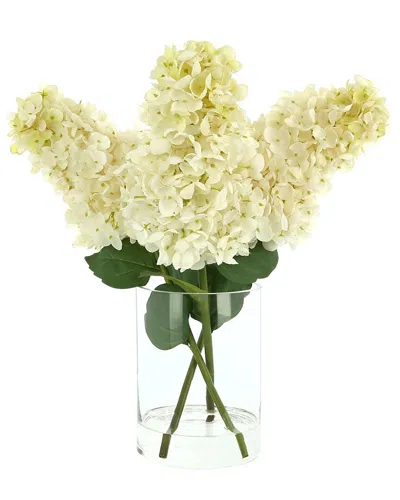 Creative Displays White Cone Hydrangea Floral Arrangement In Multi