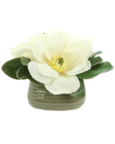 Creative Displays White Magnolia Floral Arrangement