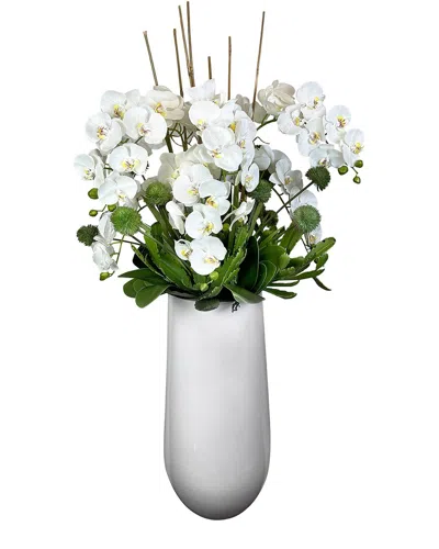 Creative Displays White Orchid And Allium In Gray