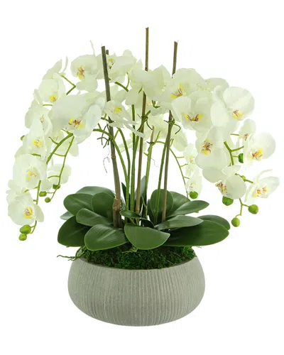 Creative Displays White Orchid Arrangement In A Round Planter In Multi
