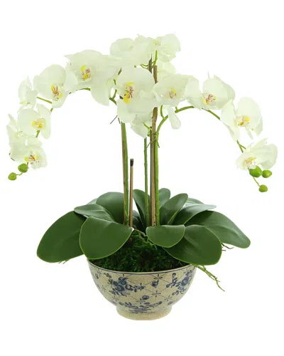 Creative Displays White Orchid Arrangement In A Round Planter In Multi