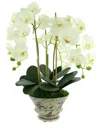 Creative Displays White Orchid Arrangement In A Round Planter In White