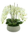Creative Displays White Orchid Arrangement In A Round Planter In White