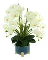 Creative Displays White Orchid Arrangement In A Round Planter In White
