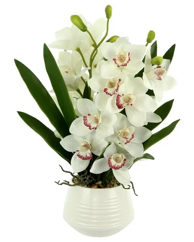 Creative Displays White Orchid Arrangement In White Ceramic Pot